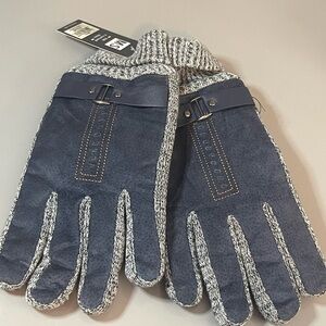 Blue and Gray Gloves